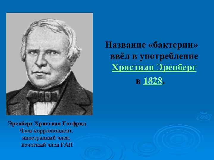 Название «бактерии» ввёл в употребление Христиан Эренберг в 1828. Эренберг Христиан Готфрид Член-корреспондент, иностранный