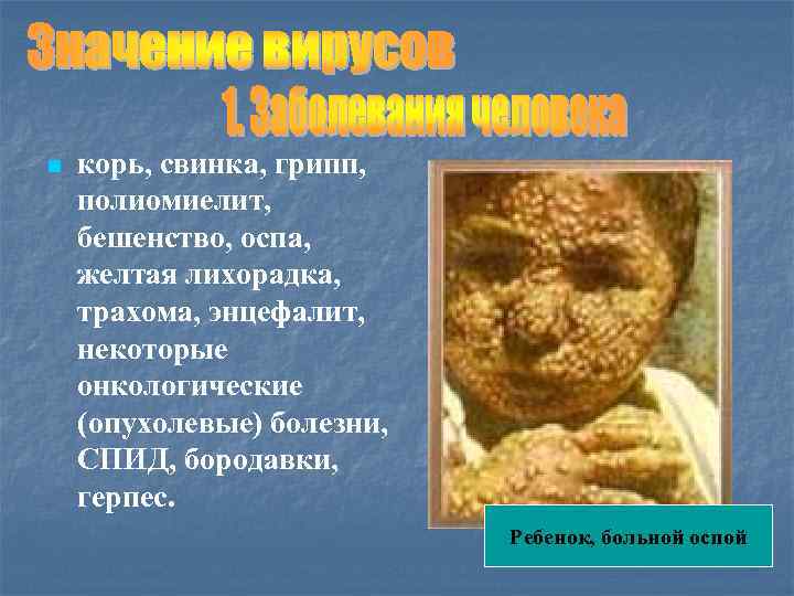 n корь, свинка, грипп, полиомиелит, бешенство, оспа, желтая лихорадка, трахома, энцефалит, некоторые онкологические (опухолевые)