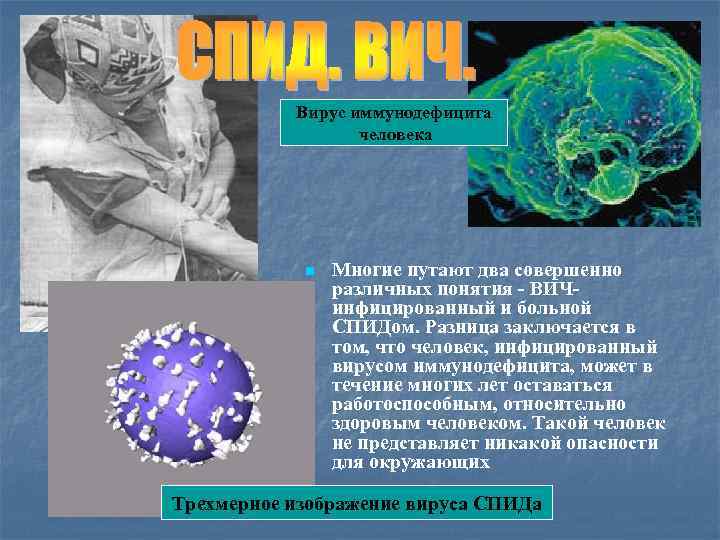 Вирус иммунодефицита человека n Многие путают два совершенно различных понятия - ВИЧинфицированный и больной