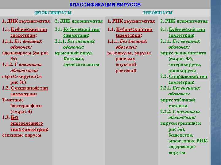 КЛАССИФИКАЦИЯ ВИРУСОВ ДЕЗОКСИВИРУСЫ РИБОВИРУСЫ 1. ДНК двухнитчатая 2. ДНК однонитчатая 1. РНК двухнитчатая 2.