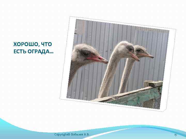 ХОРОШО, ЧТО ЕСТЬ ОГРАДА… Copyright© Бобылев К. В. 15 