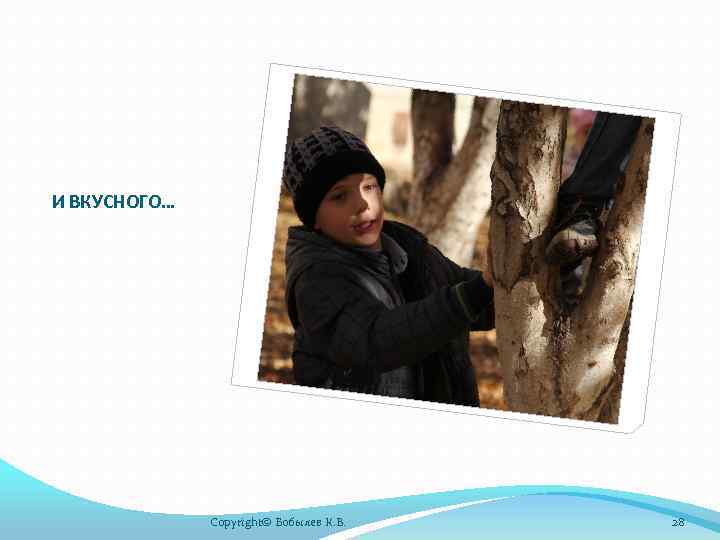 И ВКУСНОГО… Copyright© Бобылев К. В. 28 