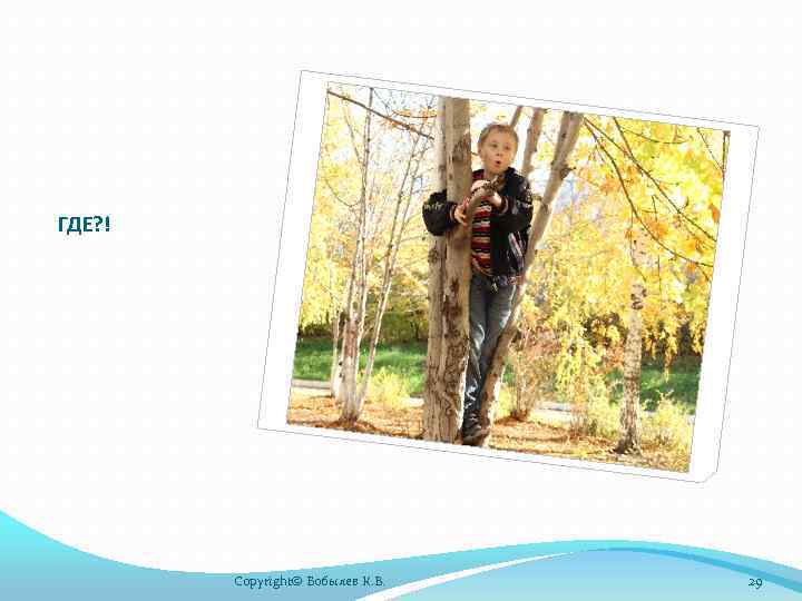 ГДЕ? ! Copyright© Бобылев К. В. 29 