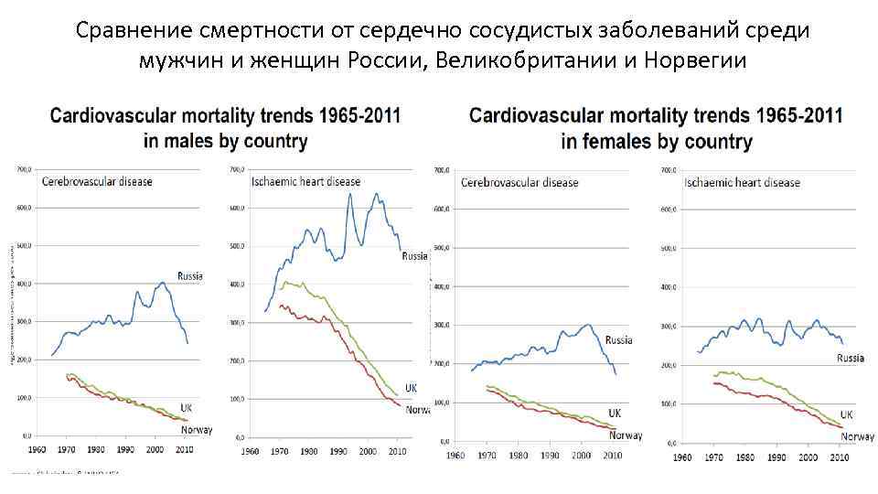 Сравнение смертности от сердечно сосудистых заболеваний среди мужчин и женщин России, Великобритании и Норвегии