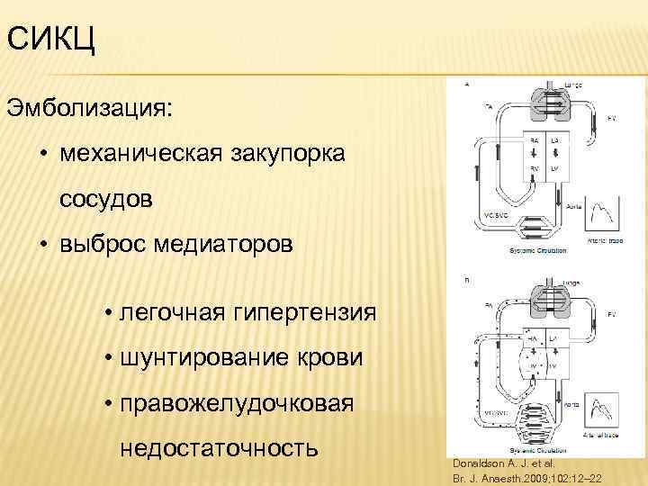 СИКЦ Эмболизация: • механическая закупорка сосудов • выброс медиаторов • легочная гипертензия • шунтирование