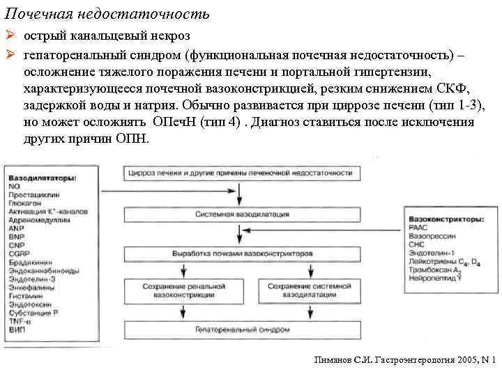 Почечная недостаточность Ø острый канальцевый некроз Ø гепаторенальный синдром (функциональная почечная недостаточность) – осложнение