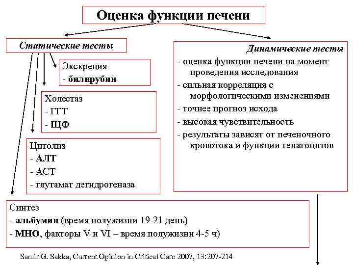 Оценка функции печени Статические тесты Экскреция - билирубин Холестаз - ГГТ - ЩФ Цитолиз