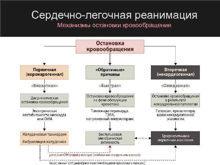 Сердечно легочная реанимация Механизмы остановки кровообращения 