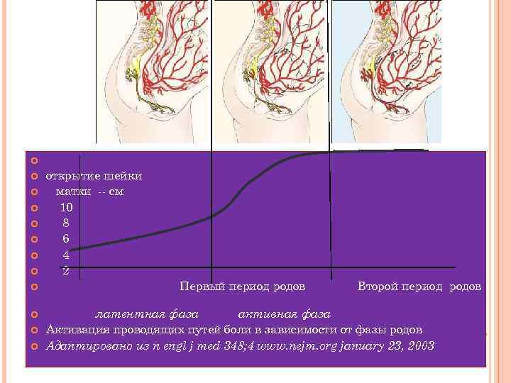  открытие шейки матки -- см 10 8 6 4 2 Первый период родов