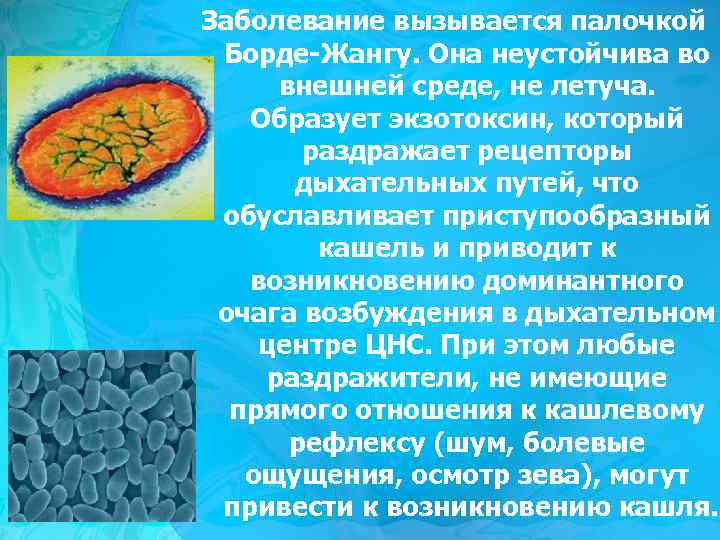 Заболевание вызывается палочкой Борде-Жангу. Она неустойчива во внешней среде, не летуча. Образует экзотоксин, который