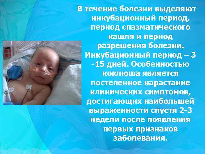 В течение болезни выделяют инкубационный период, период спазматического кашля и период разрешения болезни. Инкубационный