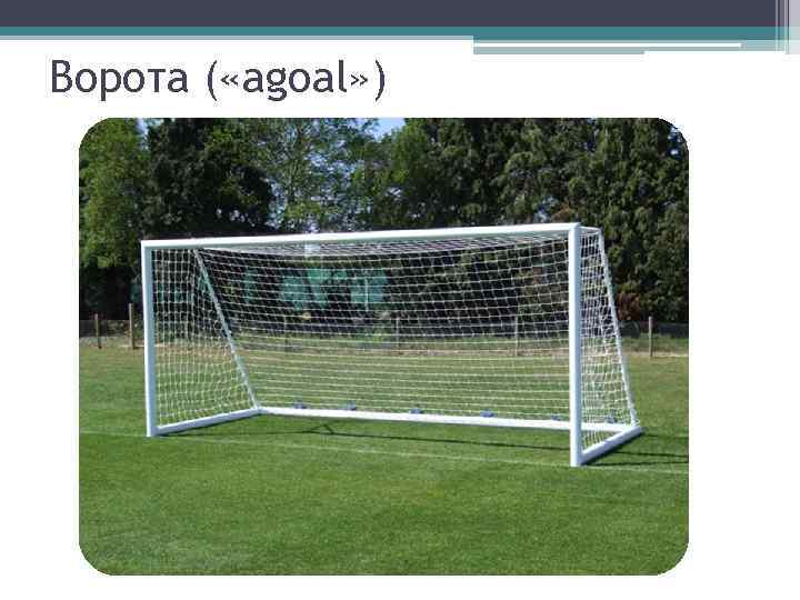 Ворота ( «agoal» ) 