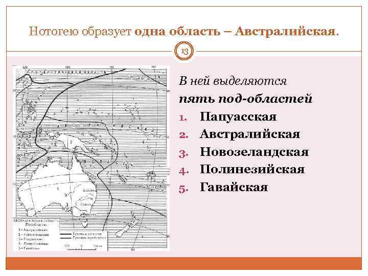 Фаунистическое районирование суши карта