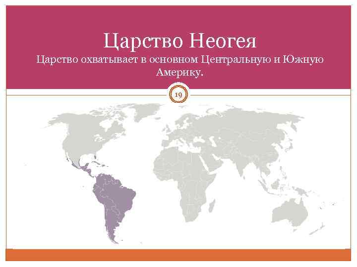 Царство Неогея Царство охватывает в основном Центральную и Южную Америку. 19 