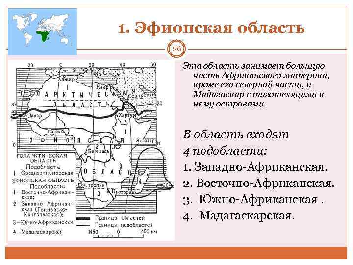 Биофилотические царства и области суши карта