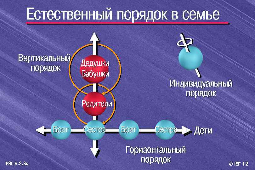 Естественный порядок в семье Вертикальный Дедушки порядок Бабушки Индивидуальный порядок Родители Брат FSL 5.