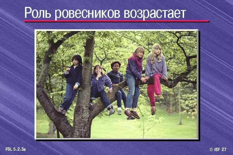 Роль ровесников возрастает FSL 5. 2. 3 s © IEF 27 