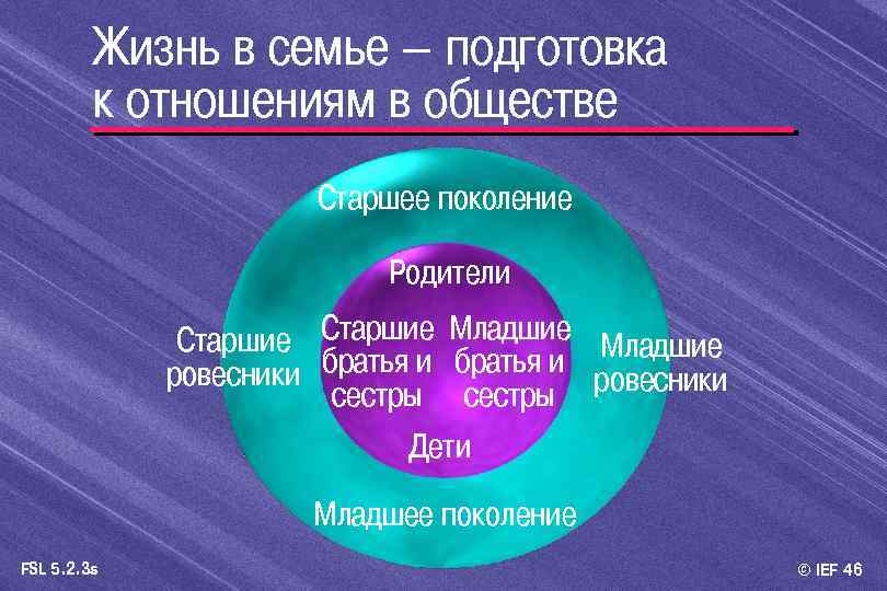 Жизнь в семье – подготовка к отношениям в обществе Старшее поколение Родители Старшие Младшие
