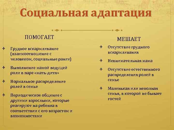 Социальная адаптация ПОМОГАЕТ МЕШАЕТ Грудное вскармливание (взаимоотношение с человеком, социальные ранги) Отсутствие грудного вскармливания