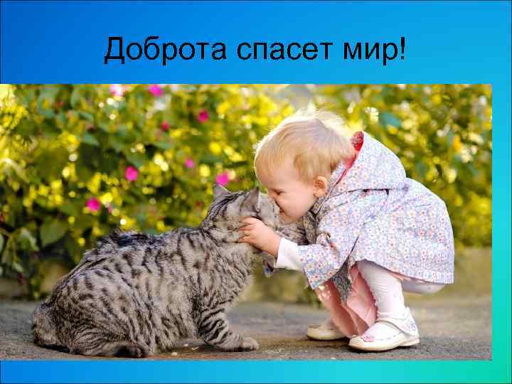 Доброта спасет мир! 
