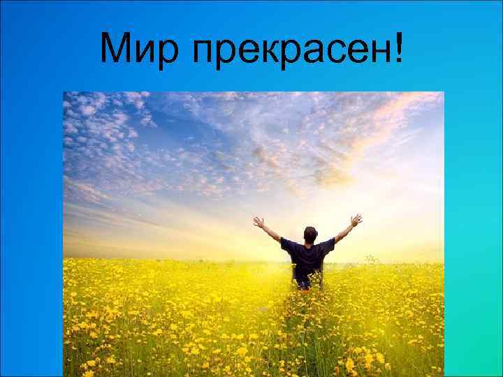 Мир прекрасен! 