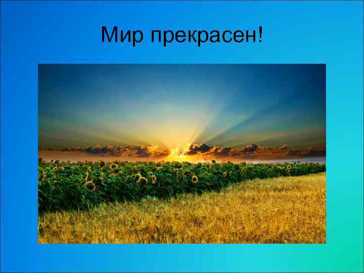 Мир прекрасен! 