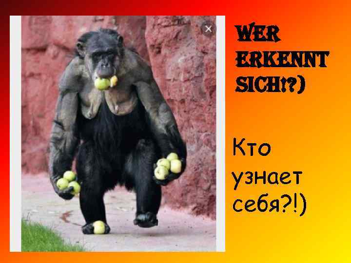 Wer erkennt sich!? ) Кто узнает себя? !) 