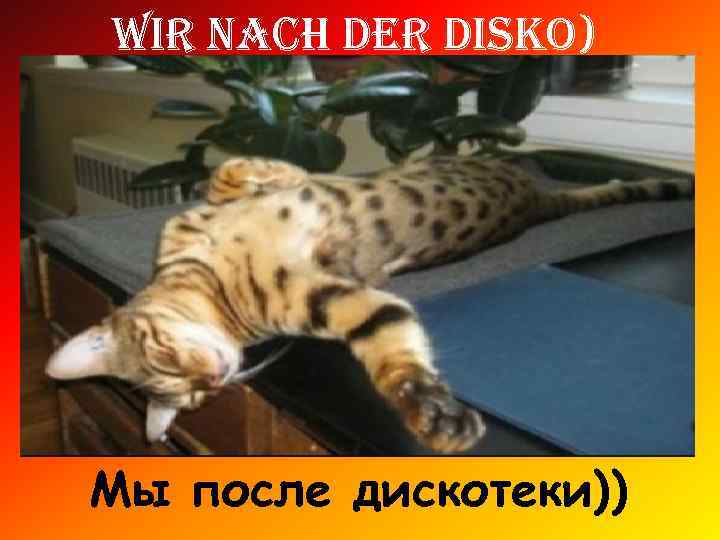 Wir nach der disko) Мы после дискотеки)) 