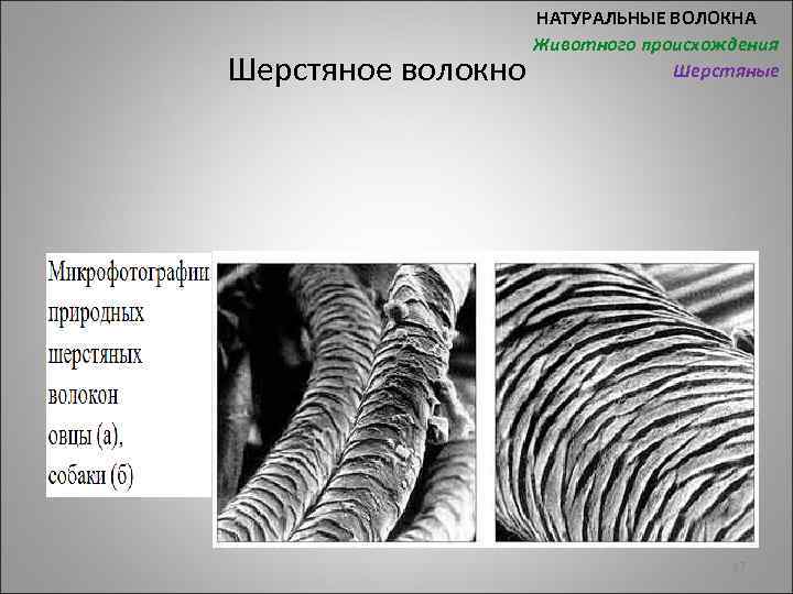 Шерстяное волокно НАТУРАЛЬНЫЕ ВОЛОКНА Животного происхождения Шерстяные 17 