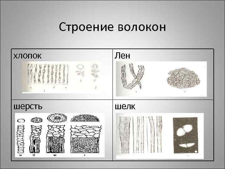 Строение волокон хлопок Лен шерсть шелк 