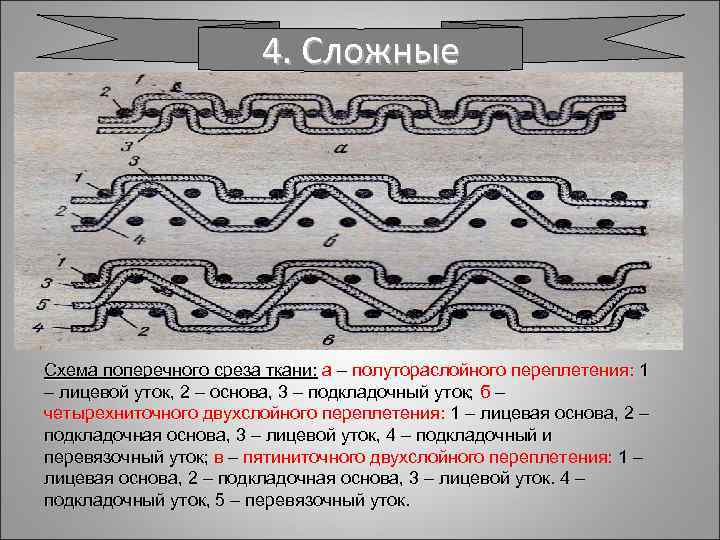 4. Сложные Схема поперечного среза ткани: а – полутораслойного переплетения: 1 – лицевой уток,