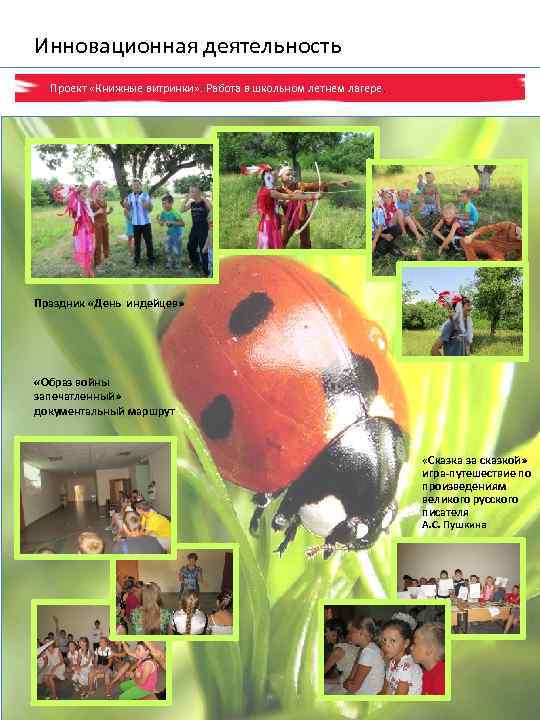 Инновационная деятельность Проект «Книжные витринки» . Работа в школьном летнем лагере. Праздник «День индейцев»