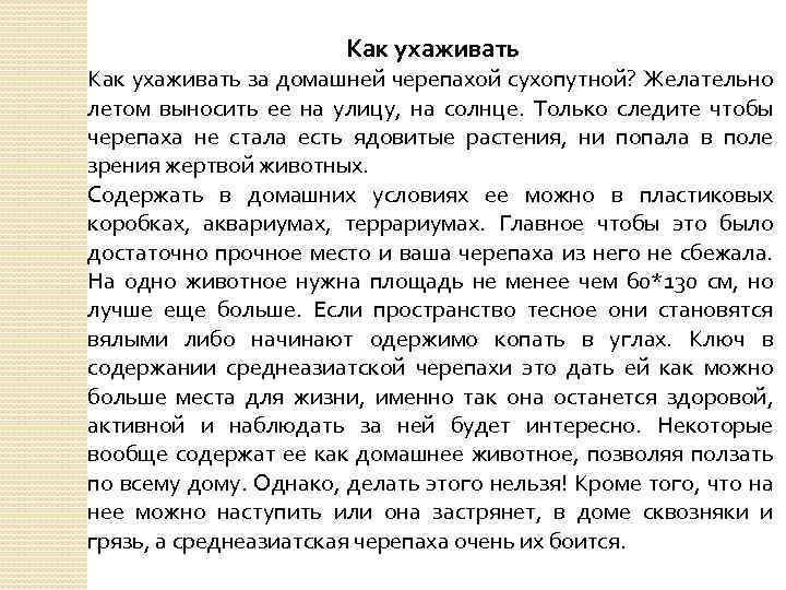 Как ухаживать за домашней черепахой сухопутной? Желательно летом выносить ее на улицу, на солнце.