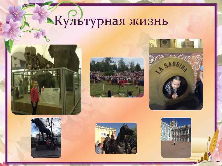 Культурная жизнь 