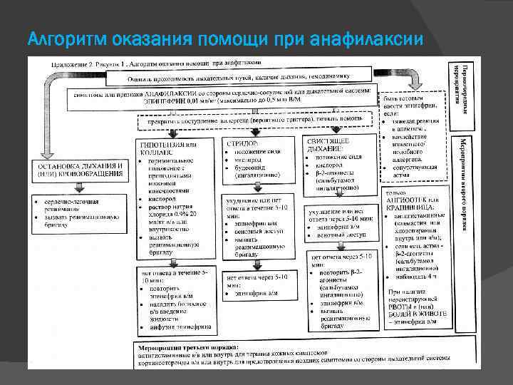 Алгоритм оказания помощи при анафилаксии 