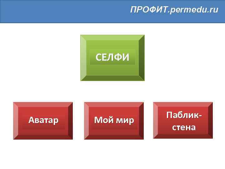 ПРОФИТ. permedu. ru СЕЛФИ Аватар Мой мир Пабликстена 