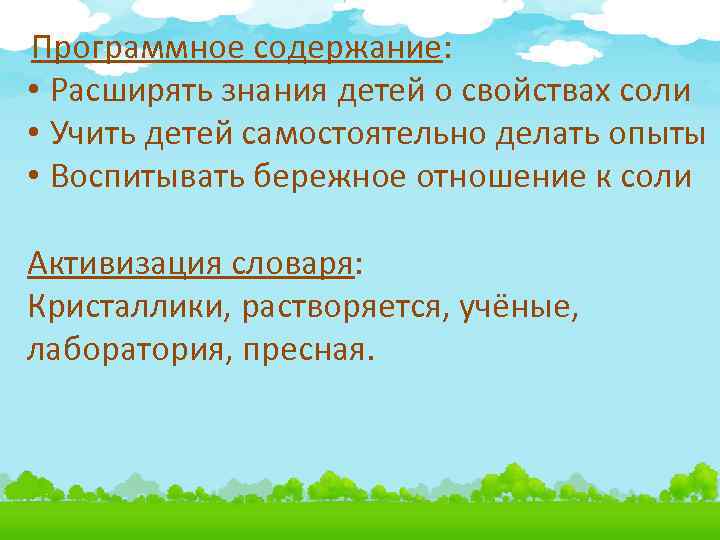Программное содержание: • Расширять знания детей о свойствах соли • Учить детей самостоятельно делать