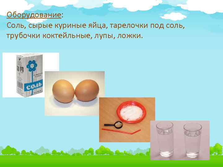 Оборудование: Соль, сырые куриные яйца, тарелочки под соль, трубочки коктейльные, лупы, ложки. 