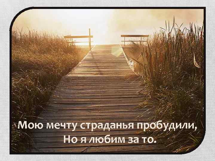 Мою мечту страданья пробудили, Но я любим за то. 