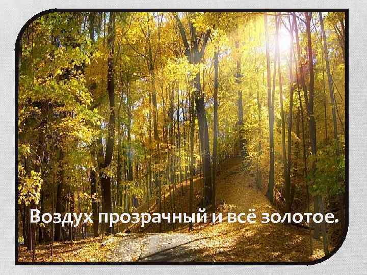 Воздух прозрачный и всё золотое. 