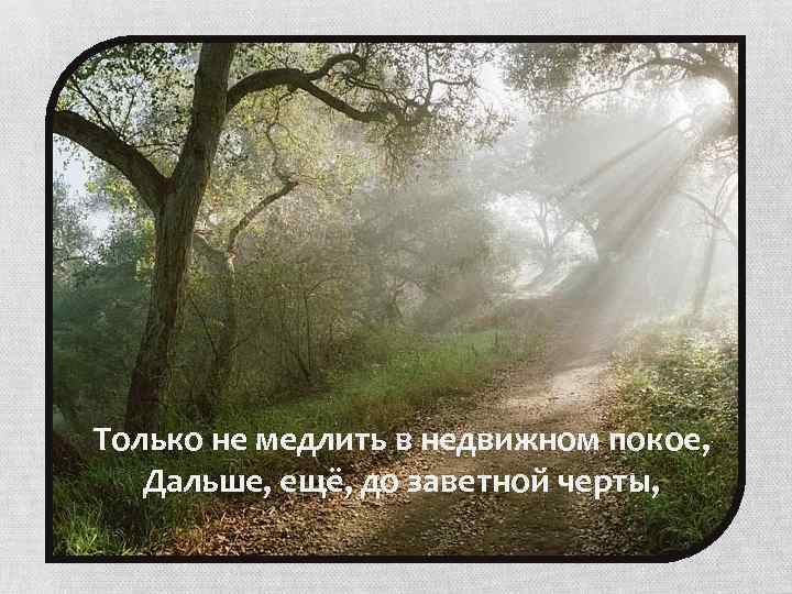 Только не медлить в недвижном покое, Дальше, ещё, до заветной черты, 