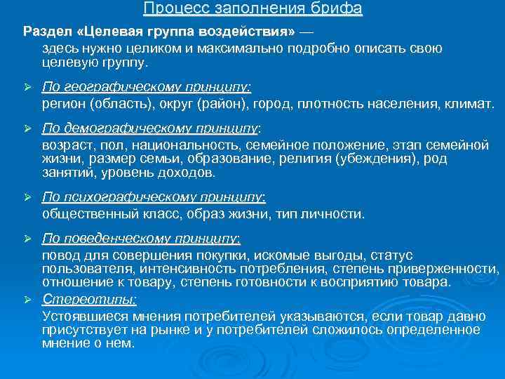 Процесс заполнения брифа Раздел «Целевая группа воздействия» — здесь нужно целиком и максимально подробно