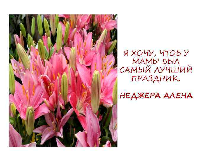 Я ХОЧУ, ЧТОБ У МАМЫ БЫЛ САМЫЙ ЛУЧШИЙ ПРАЗДНИК. НЕДЖЕРА АЛЕНА 