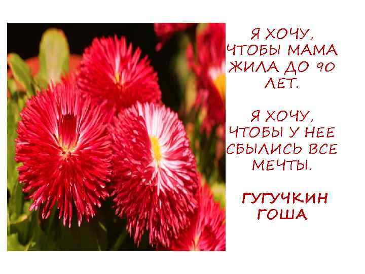 Я ХОЧУ, ЧТОБЫ МАМА ЖИЛА ДО 90 ЛЕТ. Я ХОЧУ, ЧТОБЫ У НЕЕ СБЫЛИСЬ