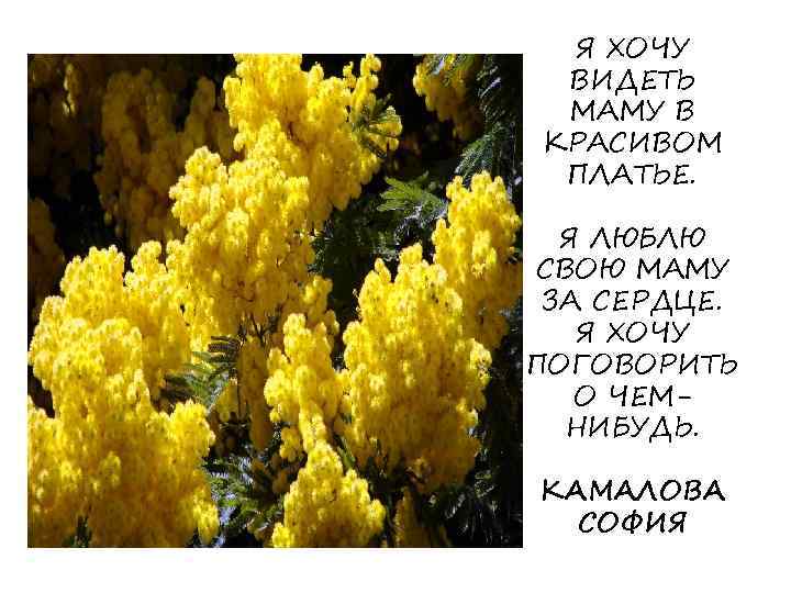 Я ХОЧУ ВИДЕТЬ МАМУ В КРАСИВОМ ПЛАТЬЕ. Я ЛЮБЛЮ СВОЮ МАМУ ЗА СЕРДЦЕ. Я