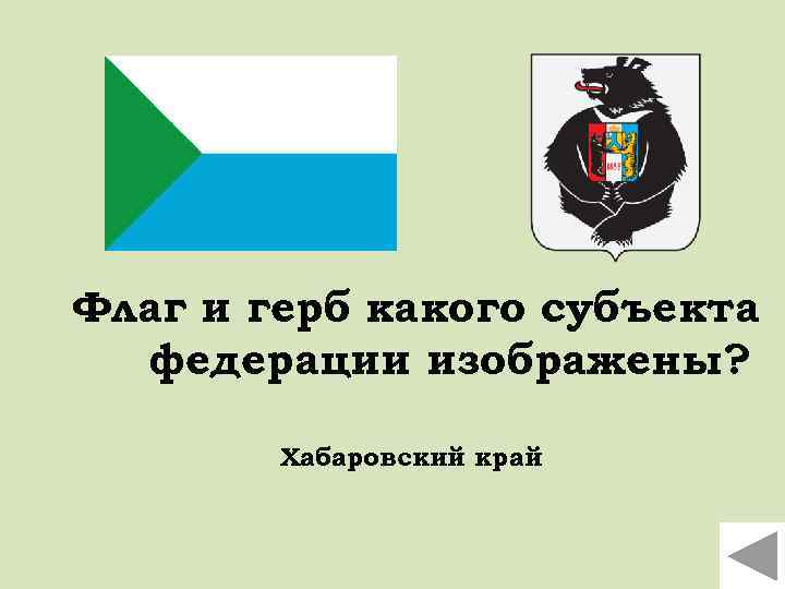 На гербе хабаровского края в центре. Флаг и герб Хабаровского края. Хабаровск герб и флаг. Герб Хабаровского края новый. Флаг Хабаровска.