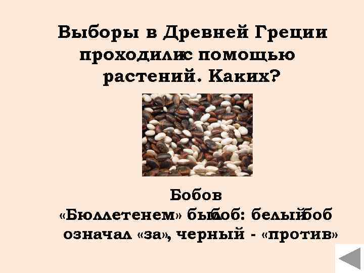 Выборы в Древней Греции проходилис помощью растений. Каких? Бобов «Бюллетенем» был боб: белый боб