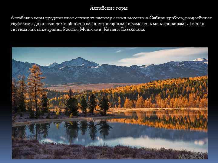 Алтайские горы представляют сложную систему самых высоких в Сибири хребтов, разделённых глубокими долинами рек