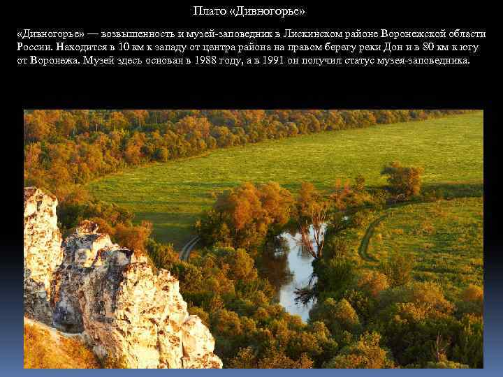 Плато «Дивногорье» — возвышенность и музей-заповедник в Лискинском районе Воронежской области России. Находится в
