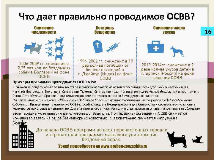 Что дает правильно проводимое ОСВВ? 16 Примеры правильно проводимого ОСВВ в РФ - снижение